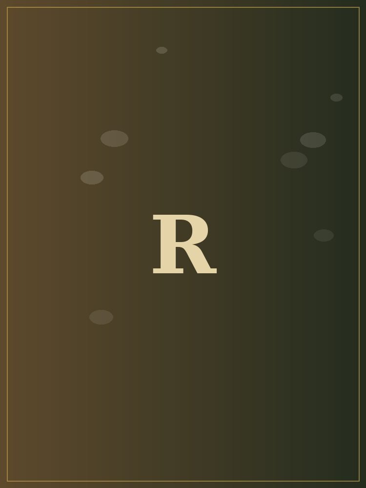 Bride — Jameelath Ramseena