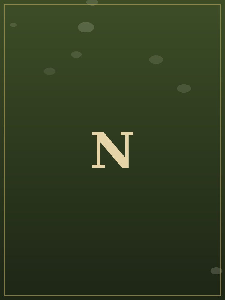 Groom — Muhammed Navas M